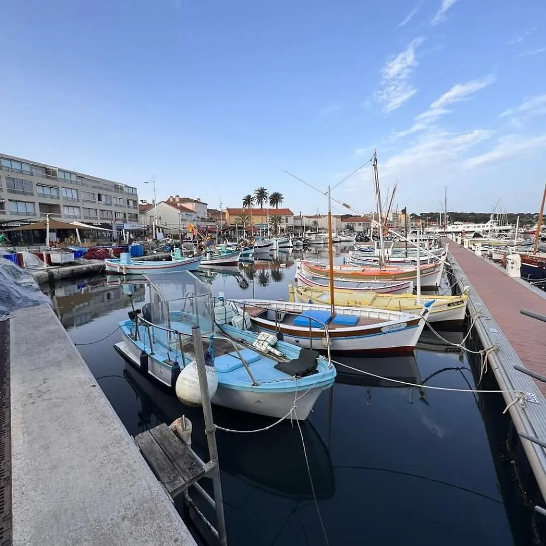 Appartement Au Calme Six-Fours-les-Plages Apartment